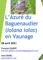 2021 Iolana (Glaucopsyche) iolas en Vaunage