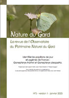 2023 Identification des papillons de jour et zygènes de France : Gonepteryx rhamni et G. cleopatra