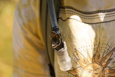 Tacheté austral (Le), Hespérie de l'Aigremoine (L' Pyrgus malvoides (Elwes & Edwards, 1897)