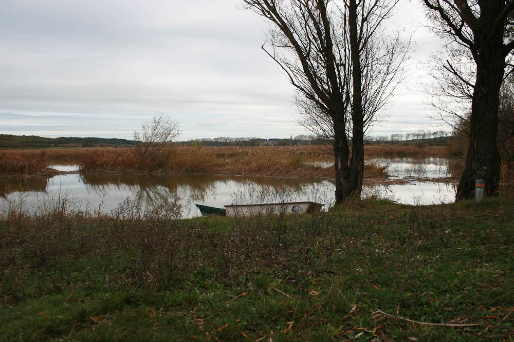 Habitats