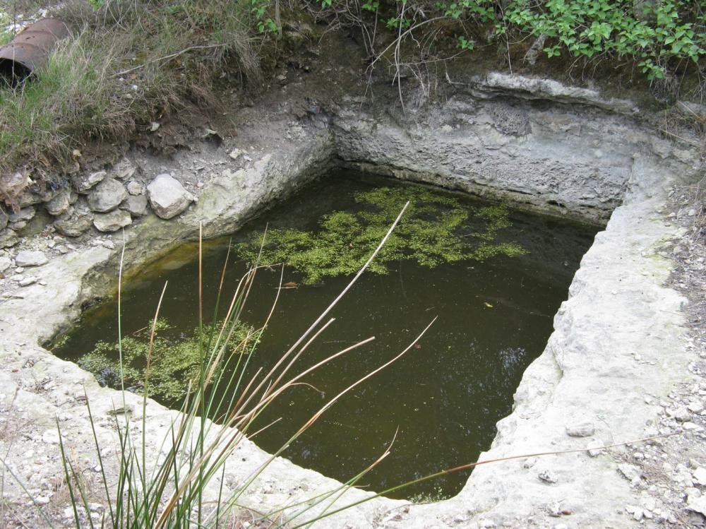 Habitats