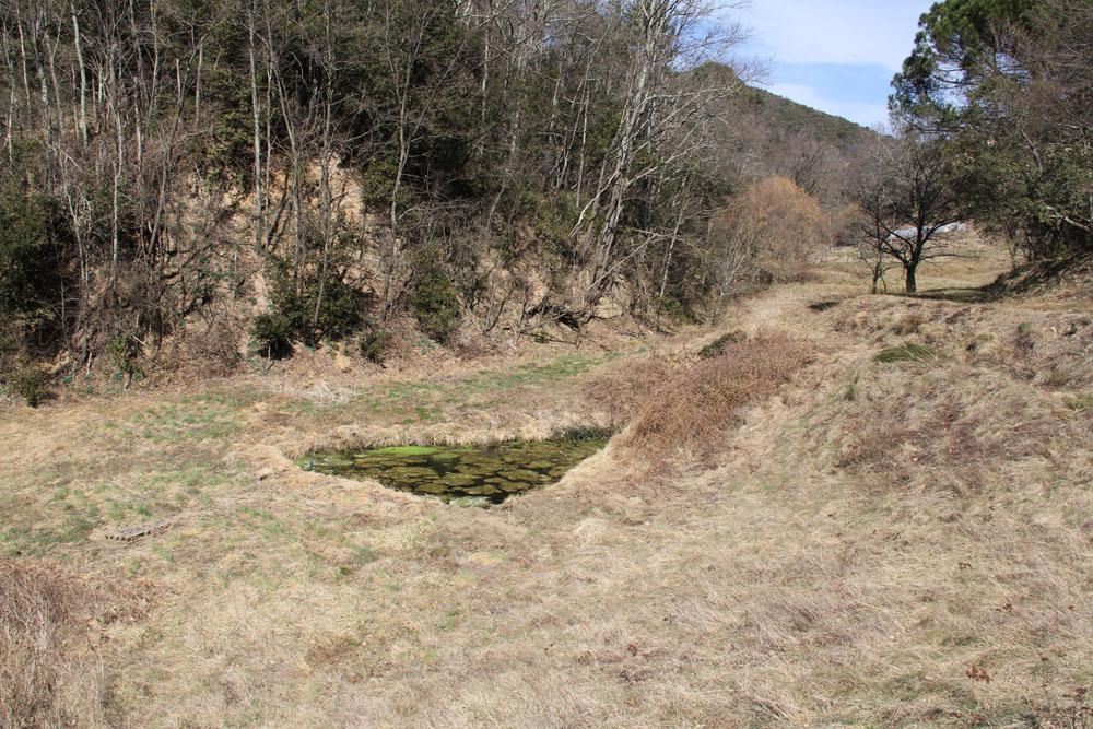  Habitats