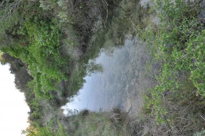  Habitats