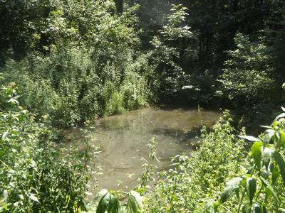  Habitats