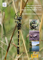 2009 Macromia