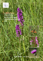 2013 Dactylorhiza occitanica