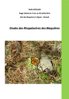 2014 Papillons des Blaquières