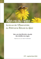 2025 Vers une identification visuelle des abeilles sauvages